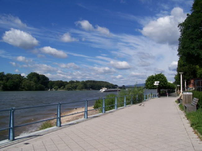 Biebrich Rheinufer 02 2007