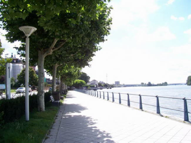 Biebrich Rheinufer 03 2007