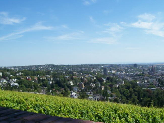 Blick auf Wiesbaden vom Neroberg 03 2007